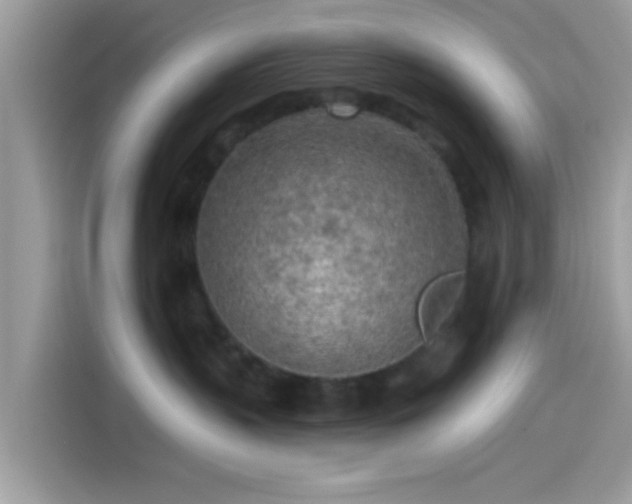 X0000115550383200911131610