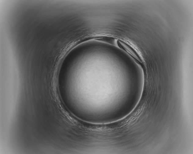 X0000115550385200911131609