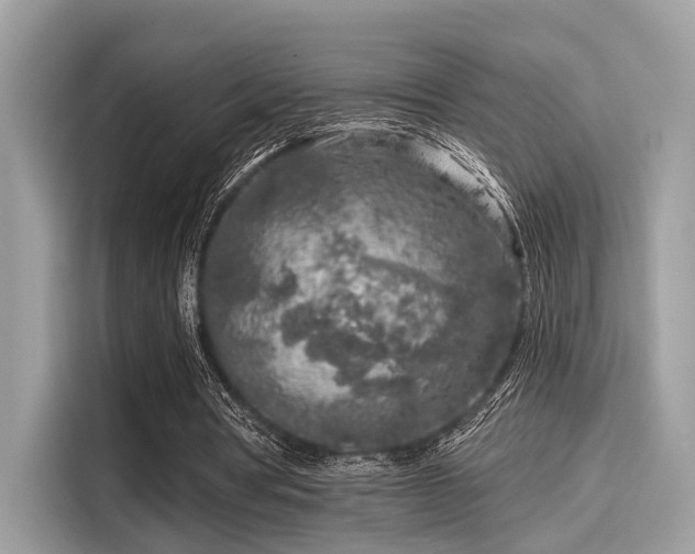 X0000115550386200911131609