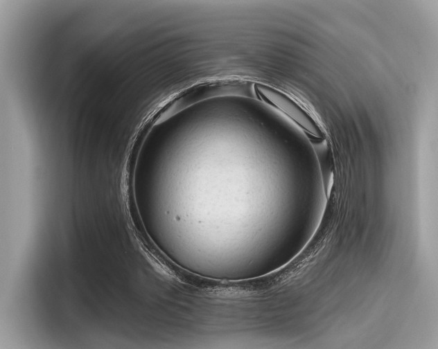 X0000115550389200911131609