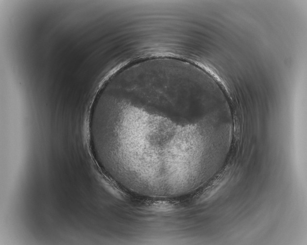 X0000115550390200911131609