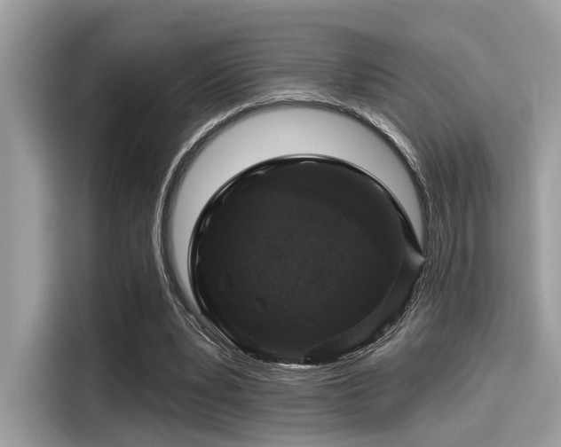 X0000115550391200911131609