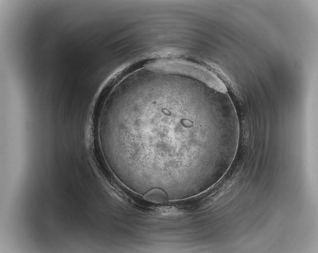 X0000115550392200911131609