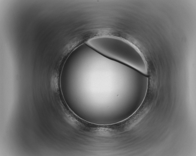 X0000115550393200911131609