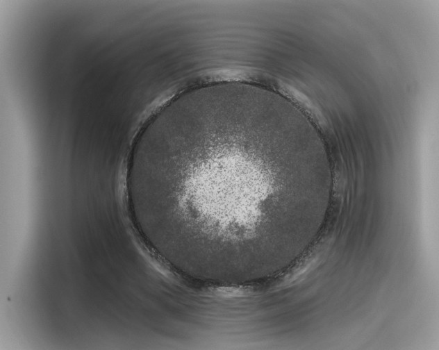 X0000115550394200911131609