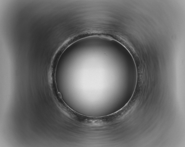 X0000115550395200911131609