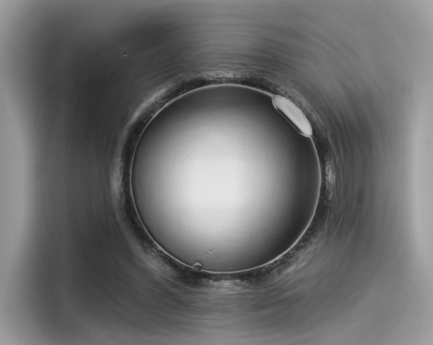 X0000115550396200911131609