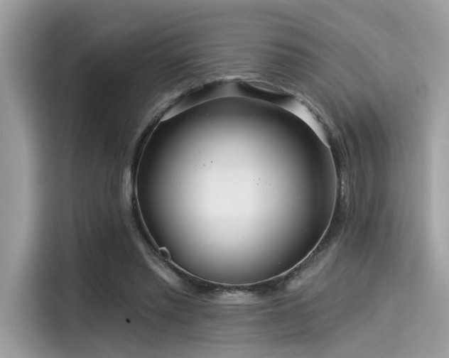 X0000115550397200911131609