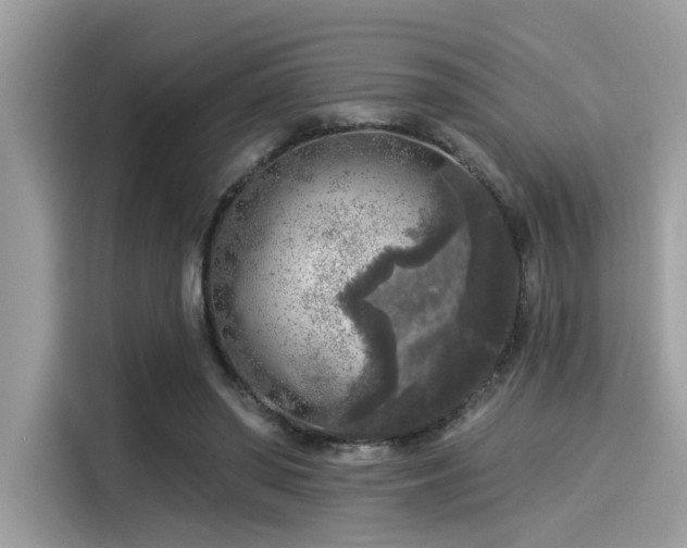 X0000115550398200911131609