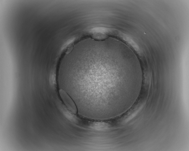 X0000115550399200911131609