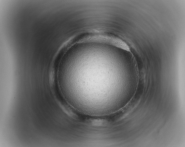 X0000115550400200911131609