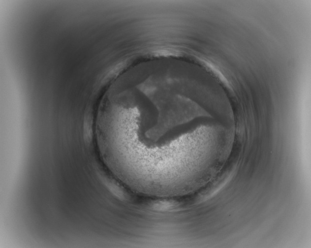 X0000115550402200911131609