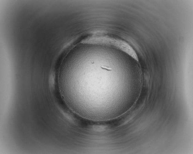 X0000115550404200911131609