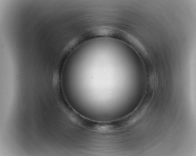 X0000115550407200911131609