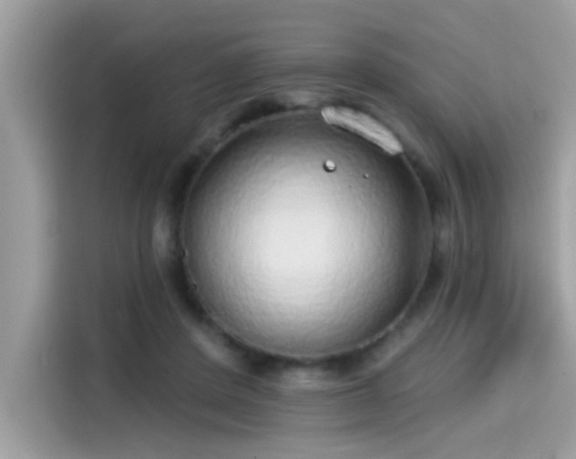 X0000115550408200911131609