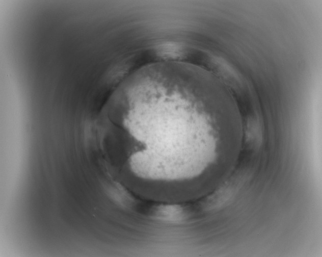 X0000115550409200911131609