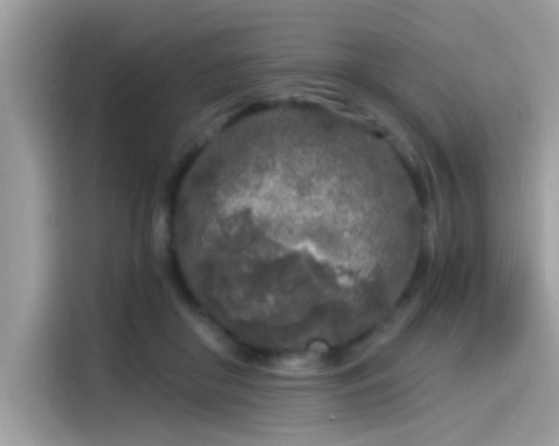 X0000115550410200911131609