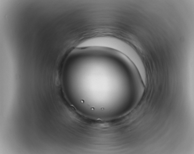 X0000115550411200911131609