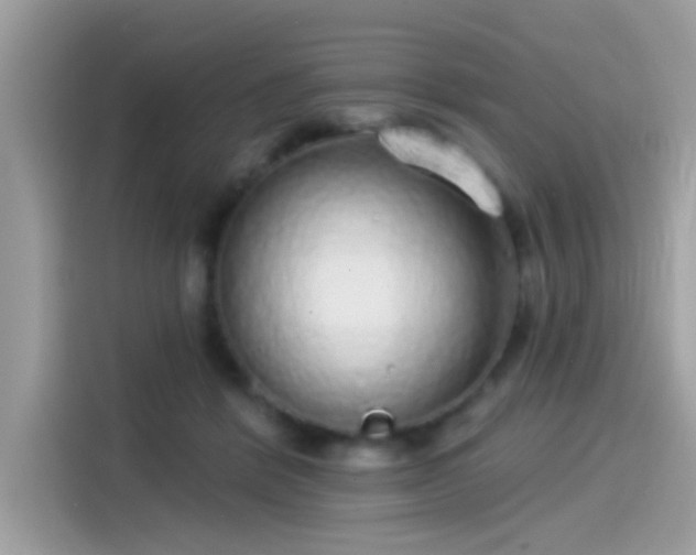 X0000115550412200911131609