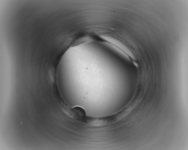 X0000115550413200911131609