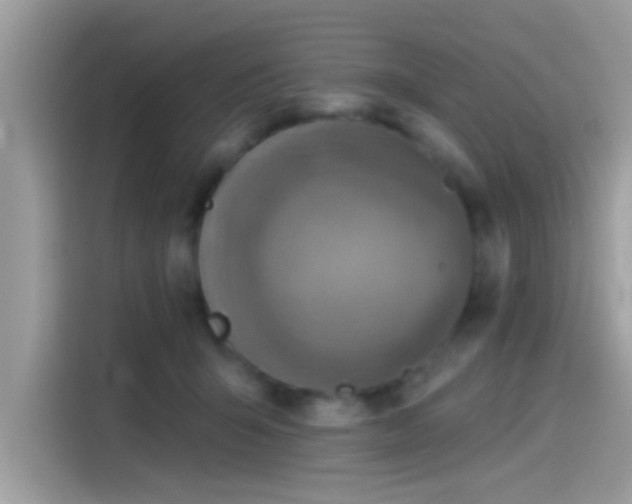 X0000115550415200911131609