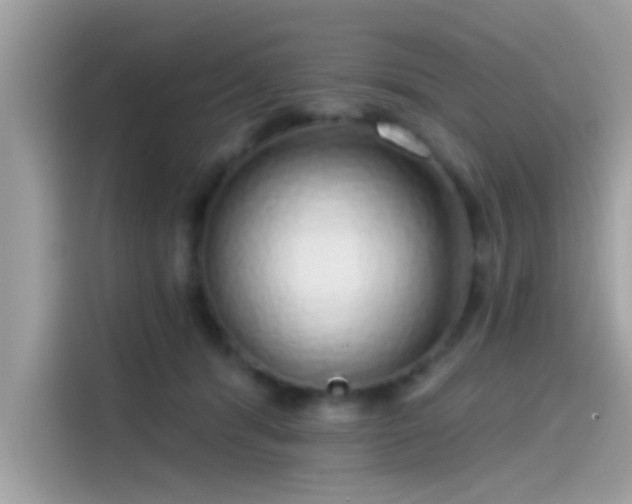 X0000115550416200911131609