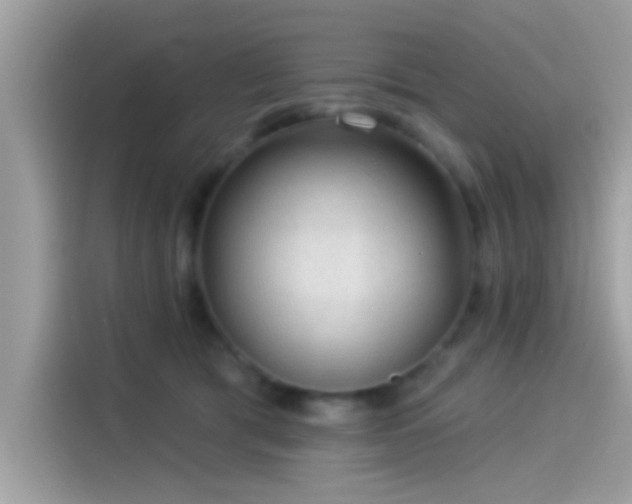 X0000115550417200911131609