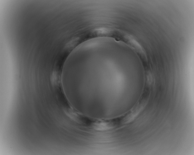 X0000115550419200911131609