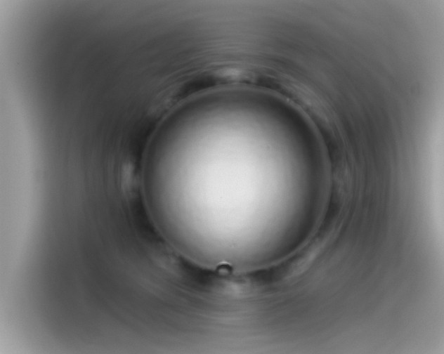 X0000115550420200911131609