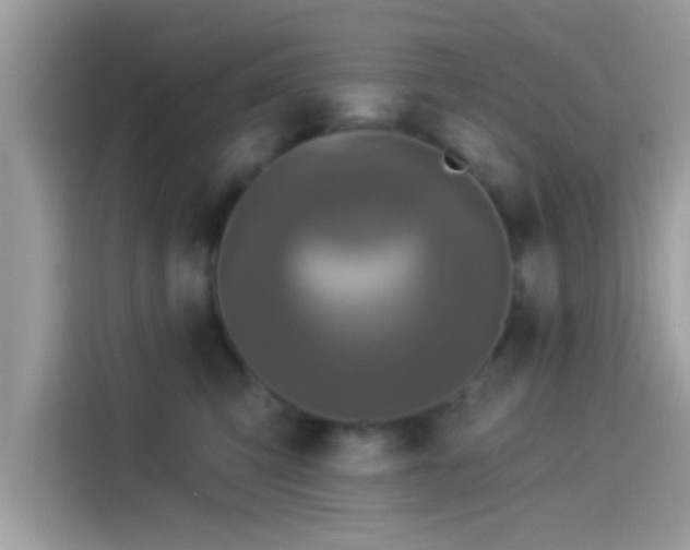 X0000115550423200911131609