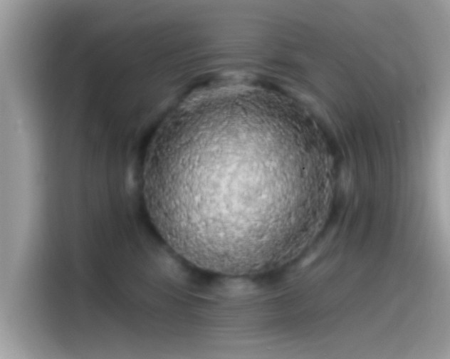 X0000115550424200911131609