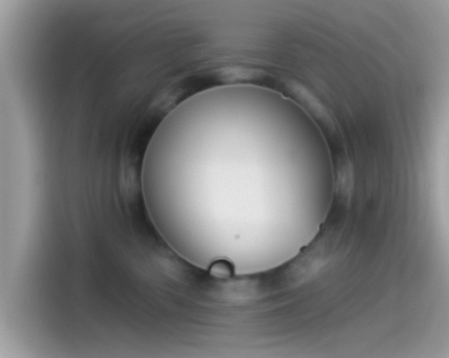 X0000115550426200911131609