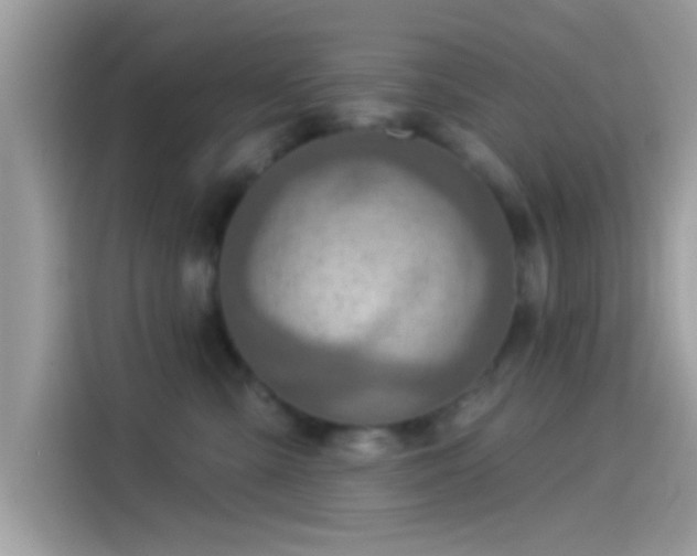 X0000115550427200911131609