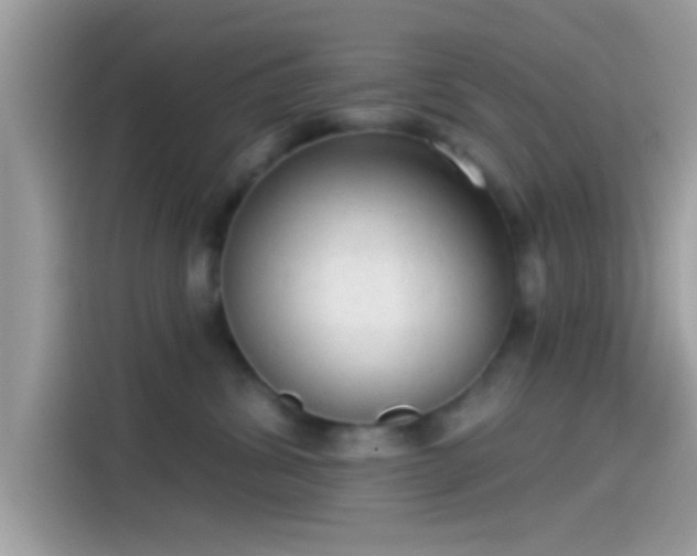 X0000115550428200911131609