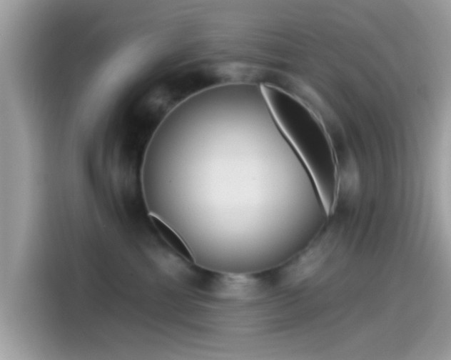 X0000115550429200911131609