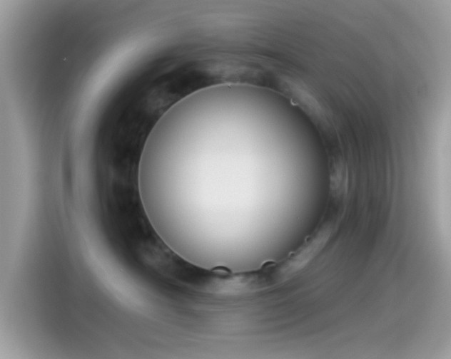 X0000115550430200911131609