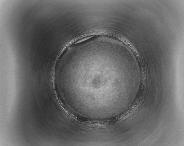 X0000115550434200911131608