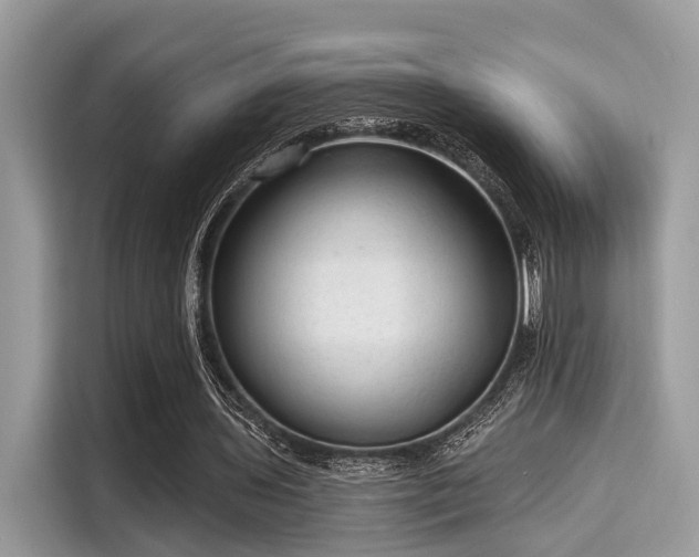 X0000115550435200911131608