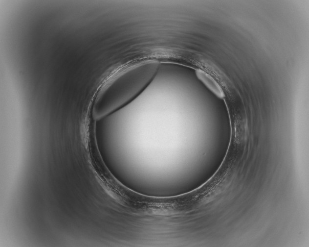 X0000115550436200911131608