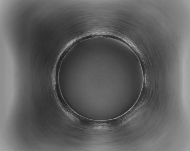 X0000115550438200911131608