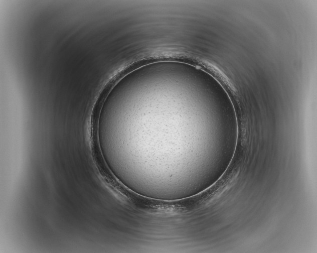 X0000115550439200911131608