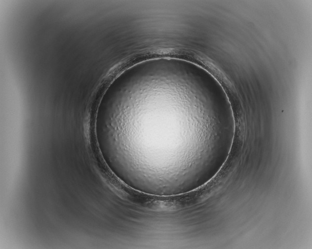 X0000115550442200911131608