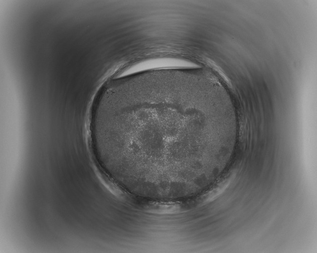 X0000115550443200911131608