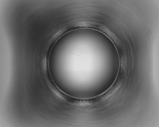 X0000115550445200911131608