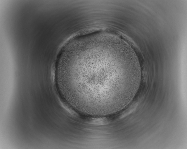 X0000115550446200911131608