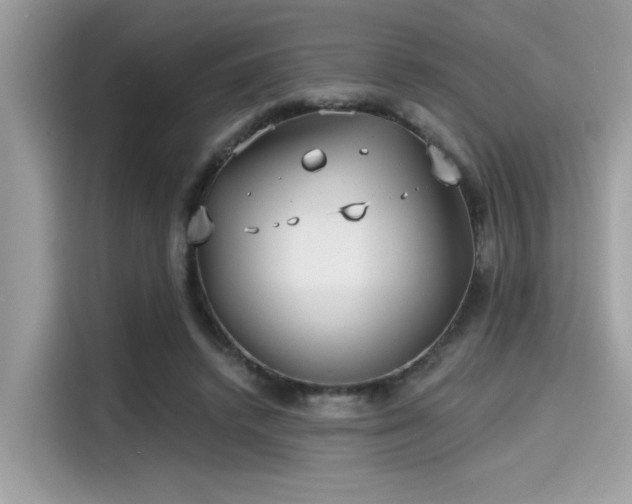 X0000115550448200911131608