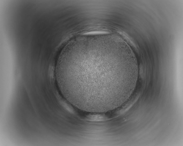 X0000115550449200911131608