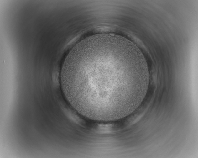 X0000115550450200911131608