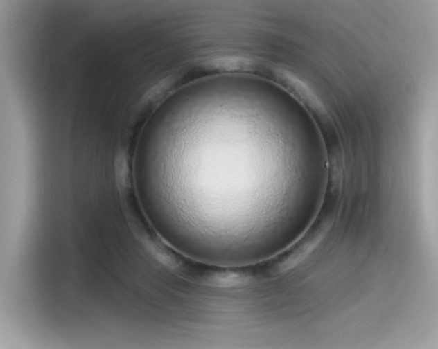 X0000115550453200911131608