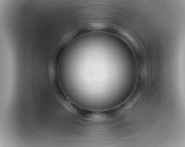 X0000115550455200911131608